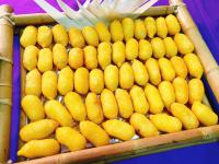 香酥椰香金棗 (素)